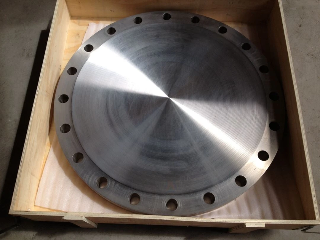 titanium blind flange (1)