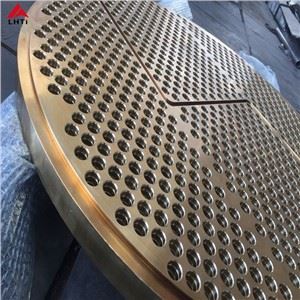 Gr 2 Titanium Tube Sheet